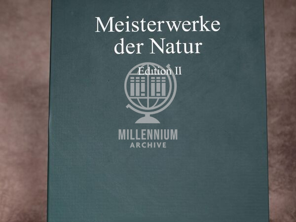 Meisterwerke der Natur II