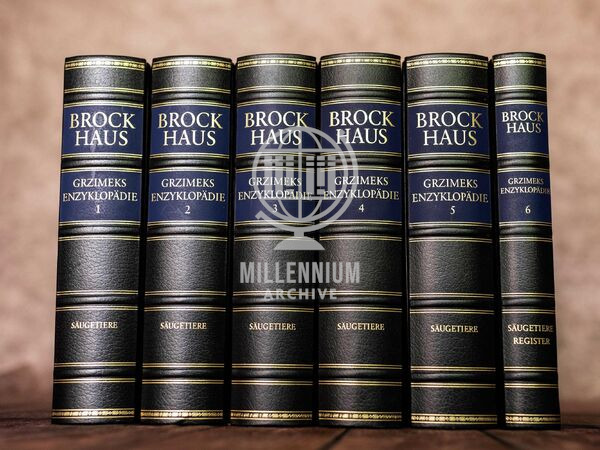 Brockhaus Grzimeks Enzyklopädie Säugetiere
